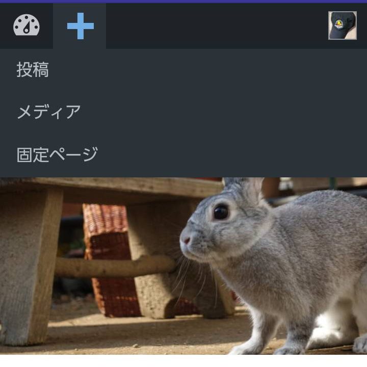 投稿ボタン